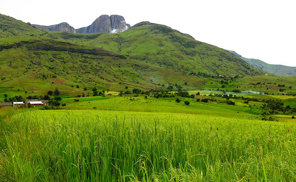 Vall&eacute;e de Tsaranoa - Parc national d'Andringitra - Madagascar