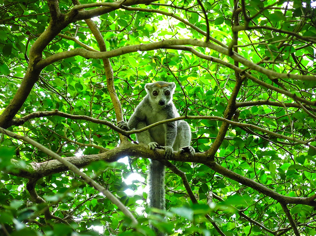 Rencontre opportune en levant la t&ecirc;te
