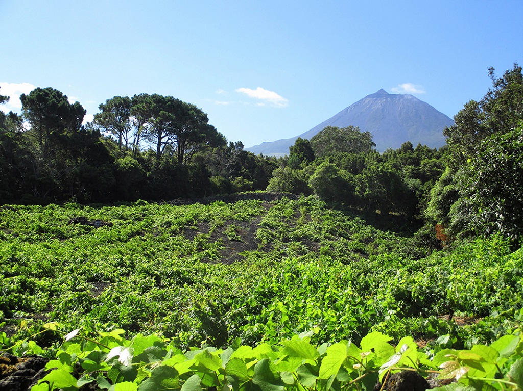  Pico -&Icirc;le de Pico, A&ccedil;ores Portugal