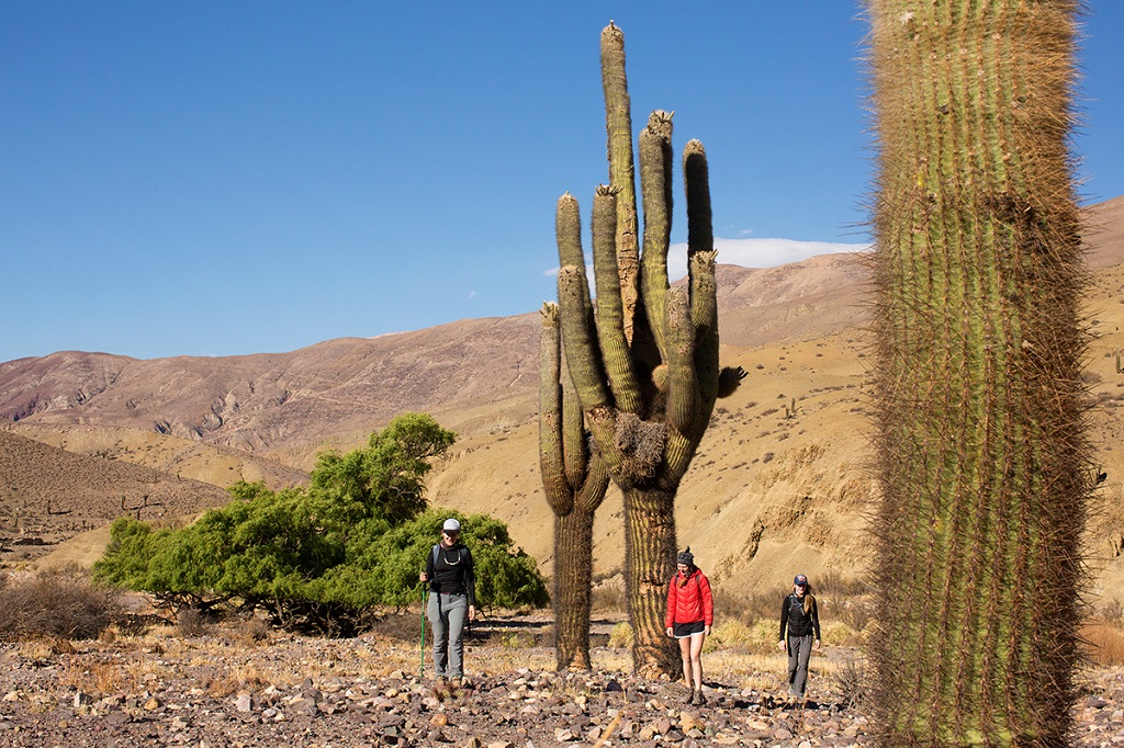 Les paysages de Salta - ©Caio Vilela Les paysages de Salta