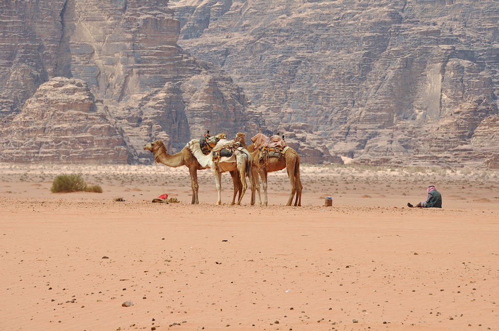 Dans le wadi rum - &copy;Thibaut Fonvielle