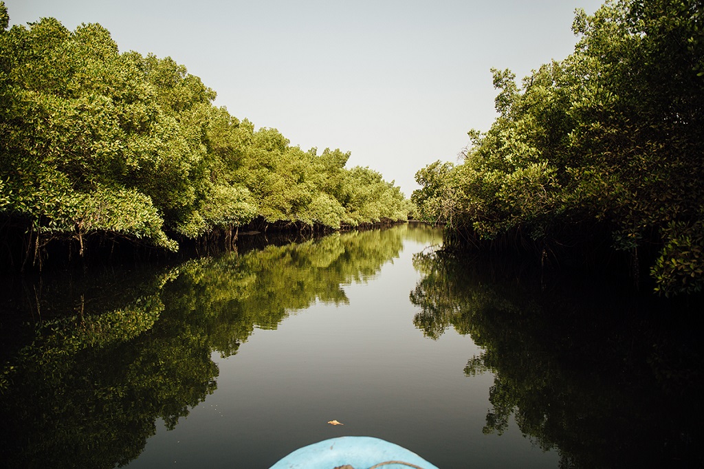 Delta du Sin&eacute; Saloum