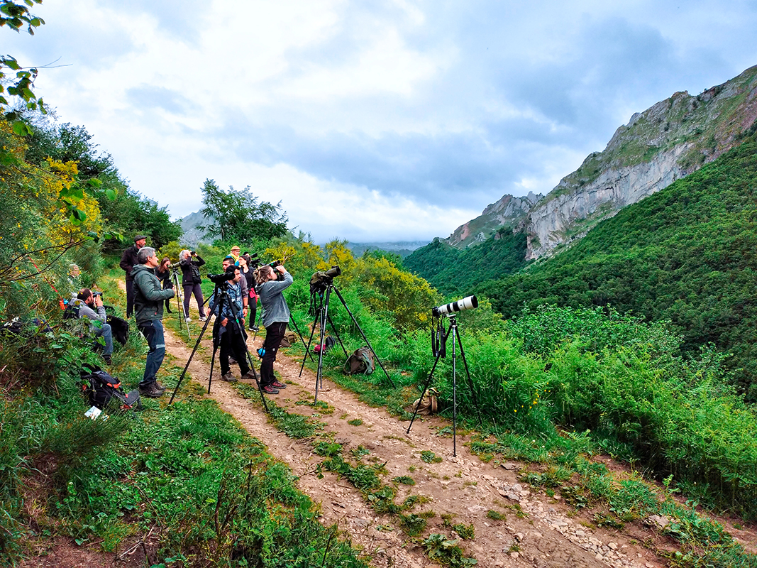 Un groupe de voyageurs en observation dans le parc de Somiedo &copy; B&eacute;atrice Mollaret