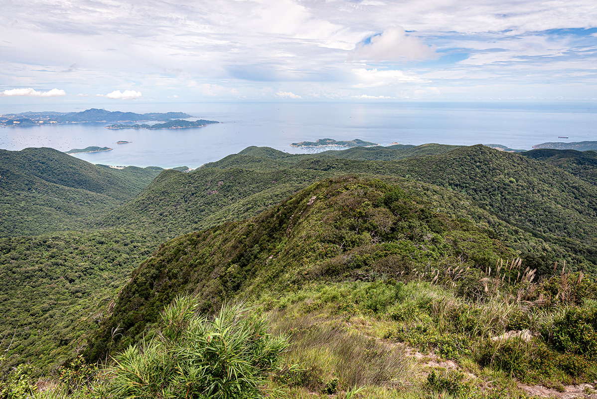 Vue panoramique depuis le mont Faux-Varella &copy;Denis Chambon