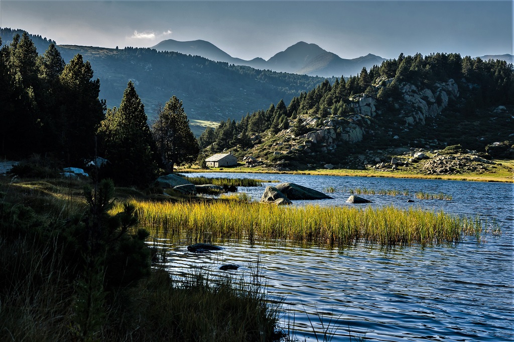 A 1950 mètres d'altitude, l'estany de la Pradella, ou lac de Pradeilles, est un lieu idyllique, entouré de pins et d'herbes folles - ©Lefalherjeanluc / Adobe Stock A 1950 mètres d'altitude, l'estany de la Pradella, ou lac de Pradeilles, est un lieu idyllique, entouré de pins et d'herbes folles - ©Lefalherjeanluc / Adobe Stock