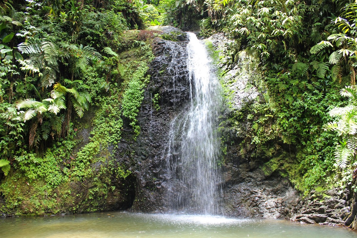 Baignade aux Antilles - ©Jennifer Lecardez Baignade aux Antilles