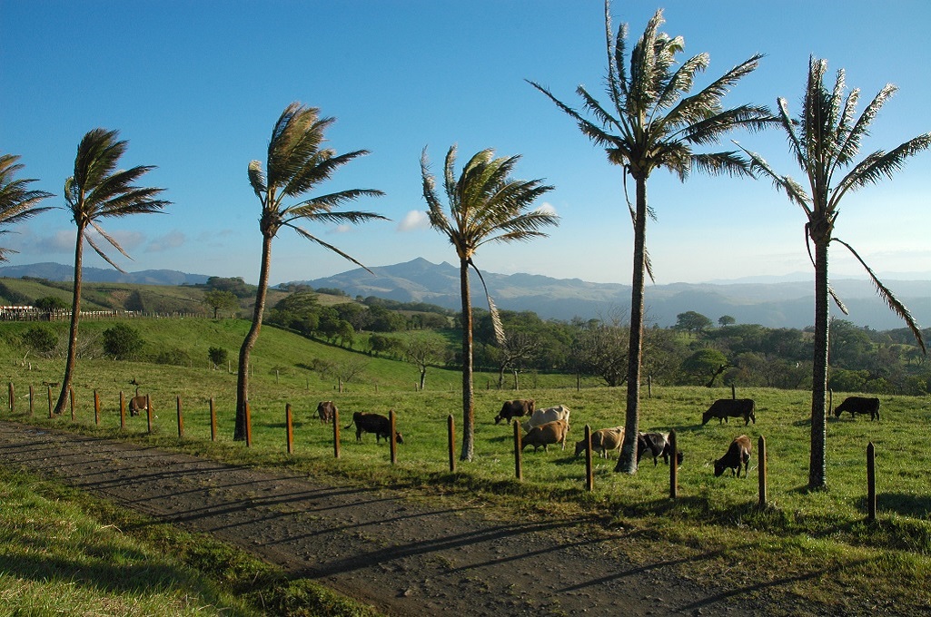 Guanacaste, Costa Rica - ©Hélène Franon Guanacaste, Costa Rica - ©Hélène Franon