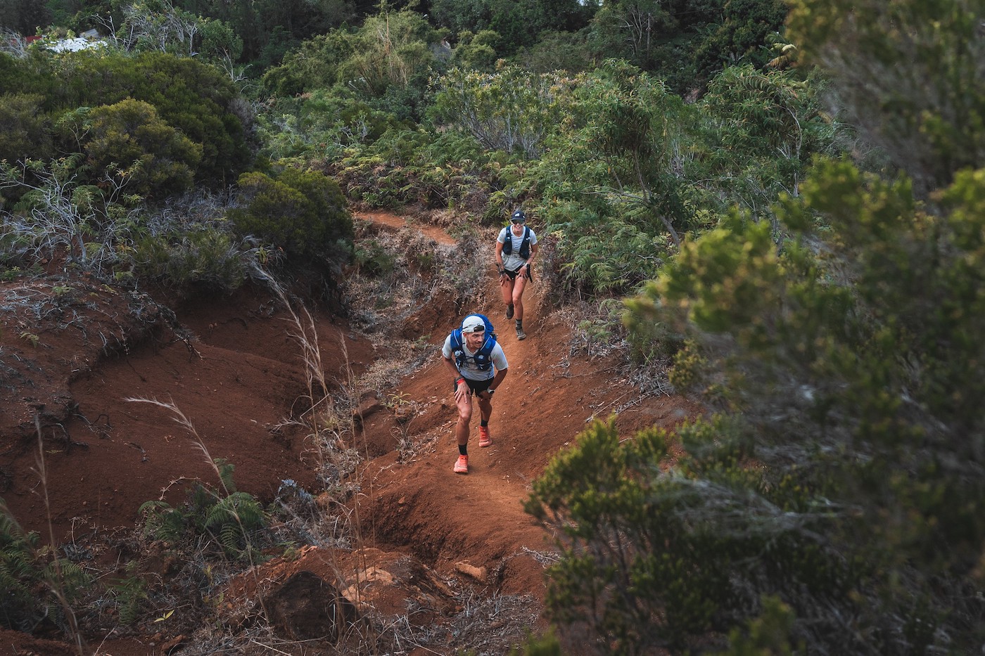&copy;Anthony Deroeux