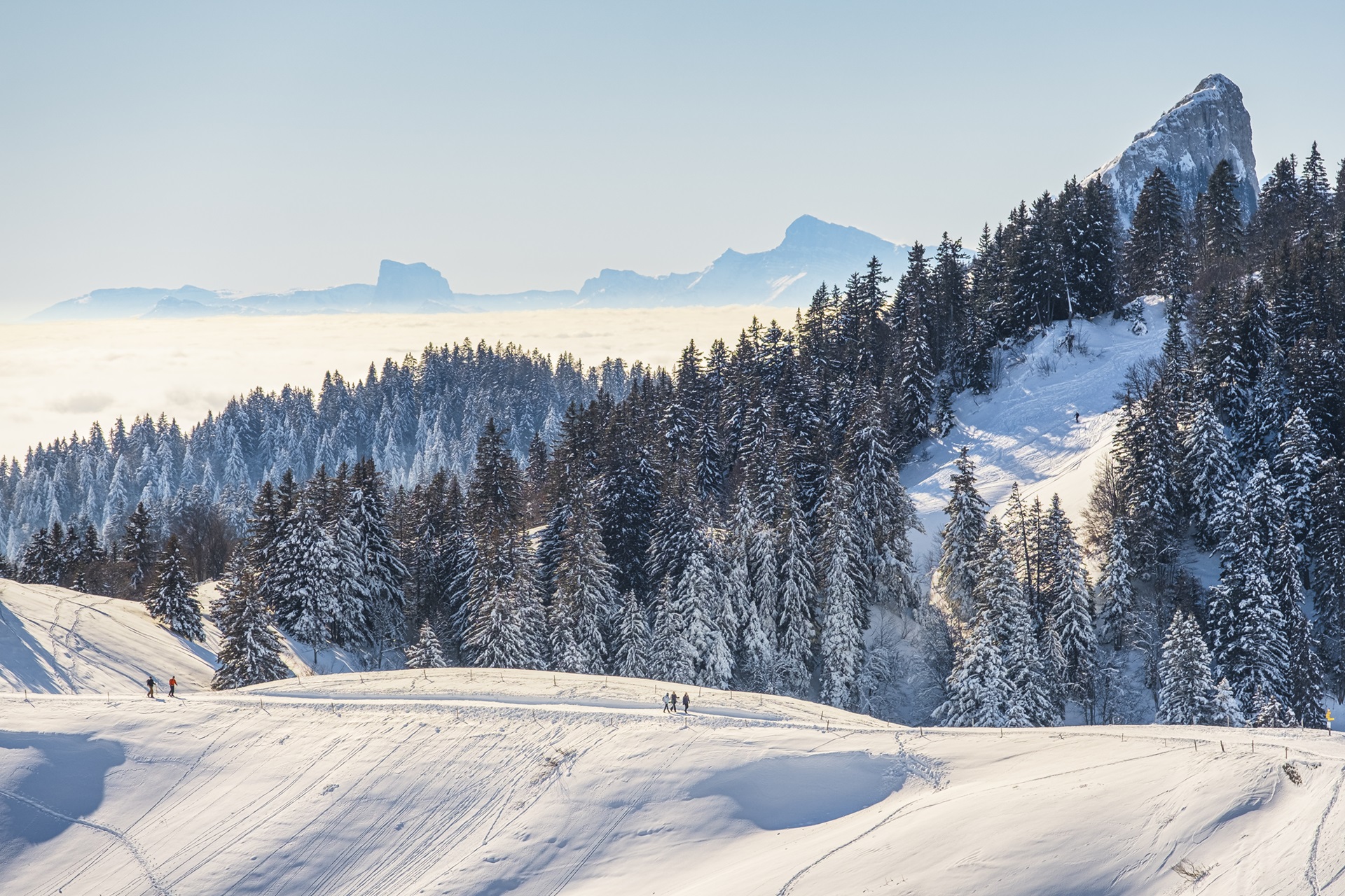 ©GUIZIOU Franck / hemis.fr Ambiance de neige sur les plateaux du Vercors.