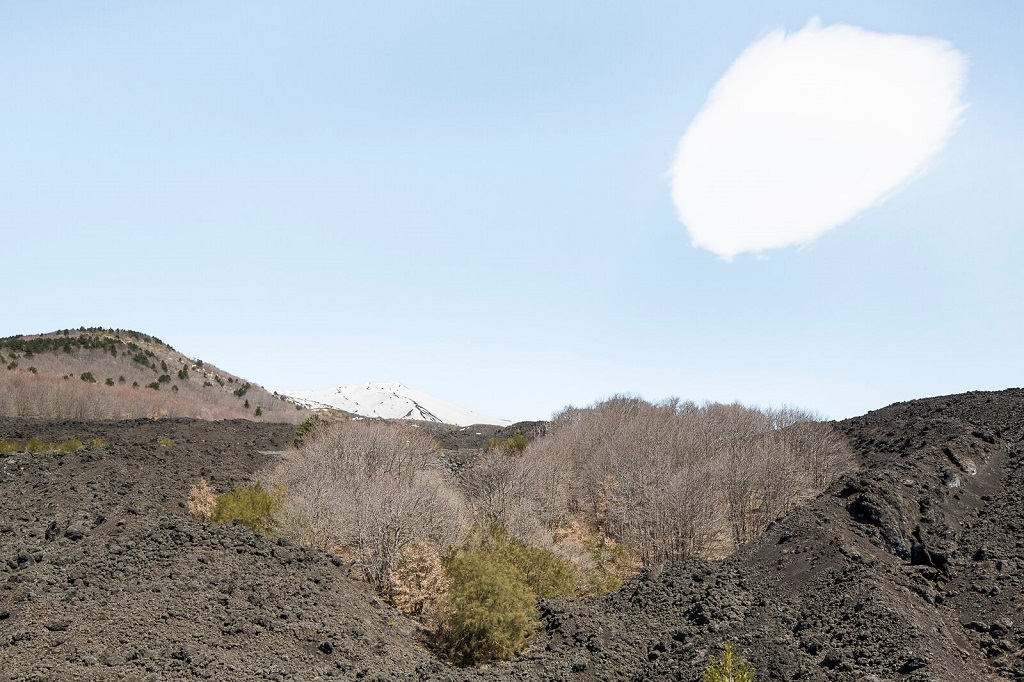 La lave est source de fertilit&eacute; pour les plantes. Selon l&rsquo;altitude, diverses esp&egrave;ces prennent racine dans la roche, assurant &agrave; l&rsquo;Etna une faune et une flore vari&eacute;es. Province de Catane, Nicolosi, 1er avril 2015. - &copy;Massimo Siragusa/Agence Vu'