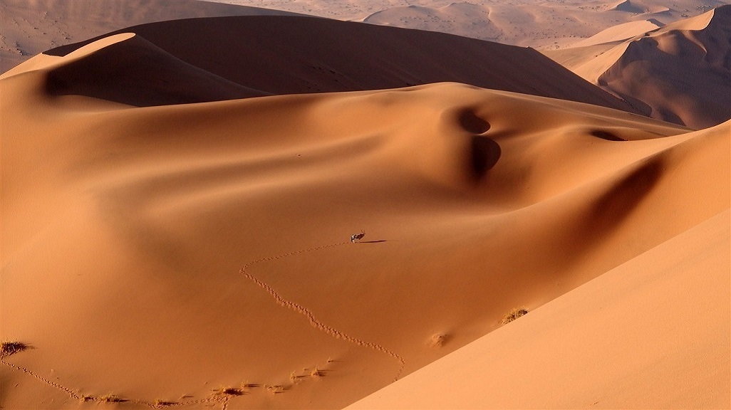 Sossusvlei et Dead Vlei, désert du Namib - ©Luce Piton Sossusvlei et Dead Vlei, désert du Namib