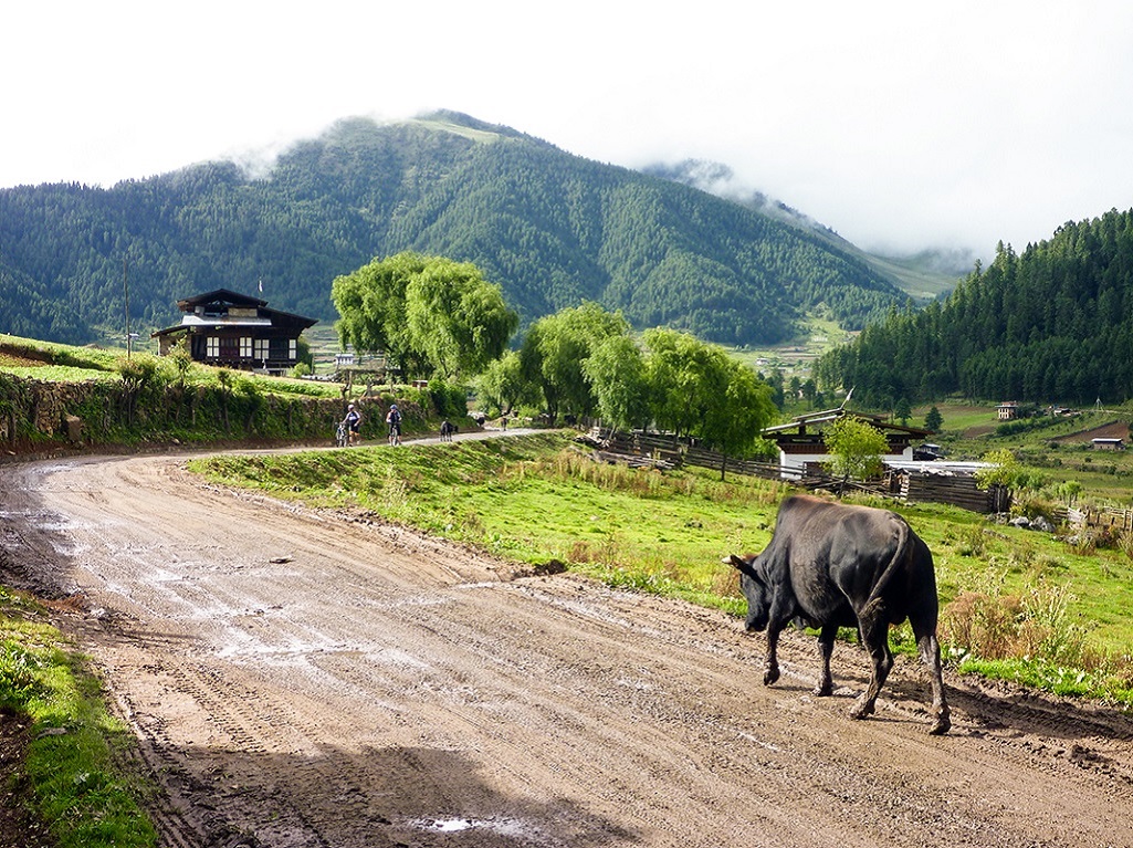 Vall&eacute;e de Phobjika - &copy;Thomas Callens