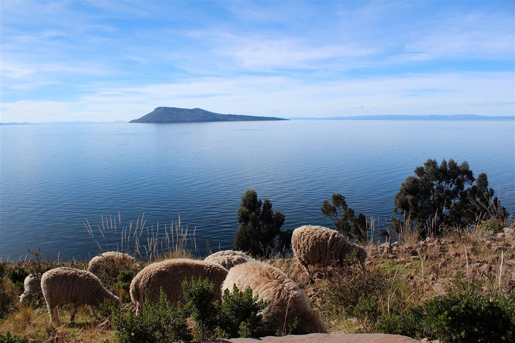 Île de Taquile, Lac Titicaca - ©Thomas Callens Île de Taquile, Lac Titicaca