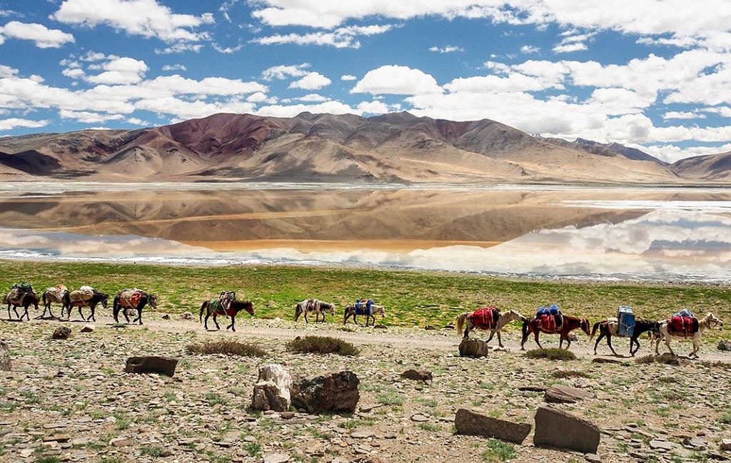 [Terdav &amp; 20Qs] Inde, région du Ladakh