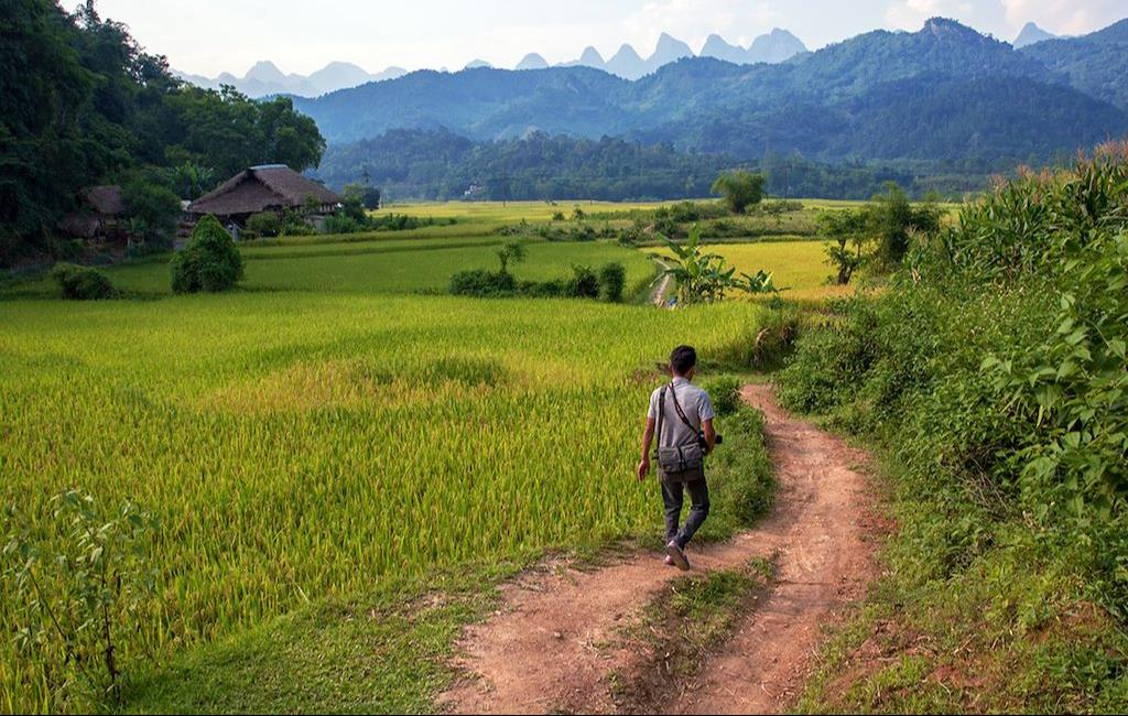 Vietnam : un voyage en mouvement, du Tonkin au delta du Mékong