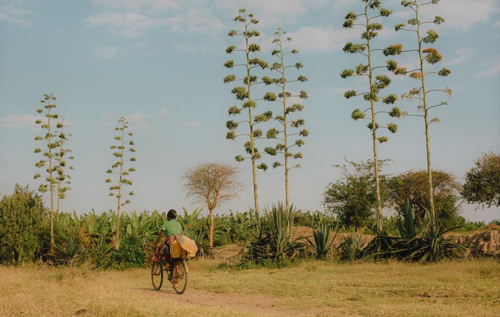 Rwanda : Au pays des mille collines
