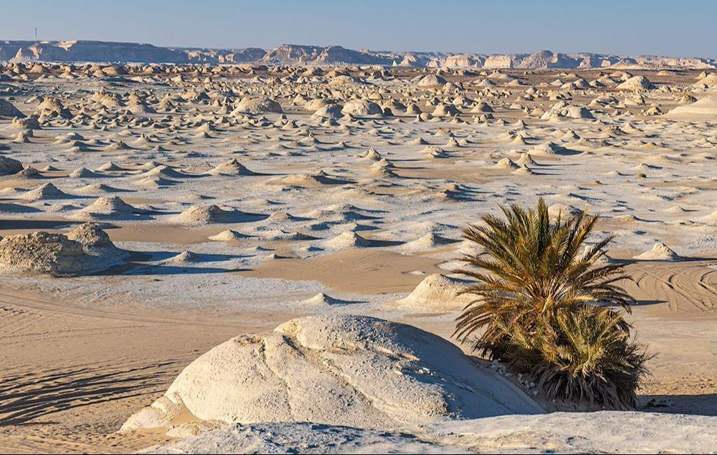 Égypte : Pourquoi Combiner Croisière sur le Nil et Trek dans le Désert ?